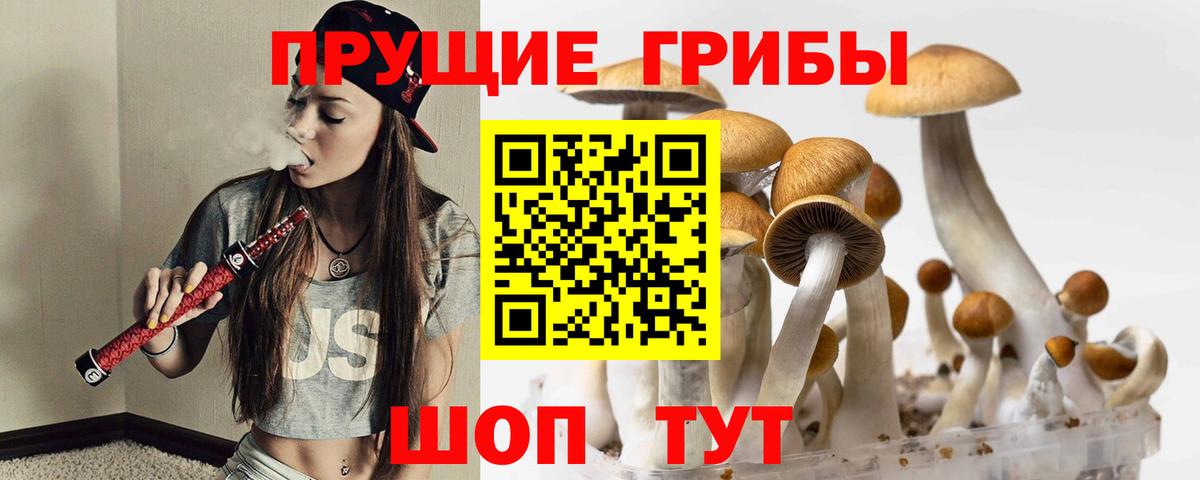 Воскресенск  Галлюциногенные грибы Magic Shrooms  где купить наркотик  Вход с VPN 